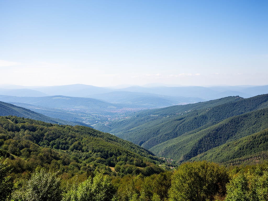 Vista dall'alto di una foresta tropicale lussureggiante con alberi ad alto fusto e sottobosco denso, rappresentazione della biodiversit&agrave; vegetale come fonte di conoscenza botanica